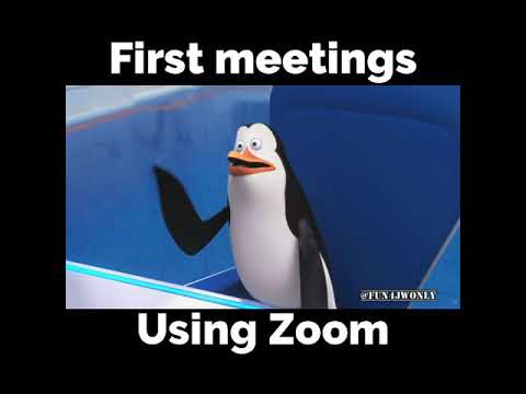 zoom conference call fails